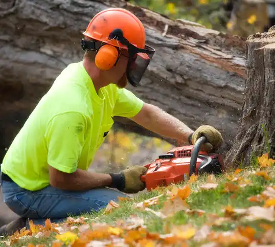 tree services Logan